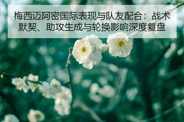 梅西迈阿密国际表现与队友配合：战术默契、助攻生成与轮换影响深度复盘